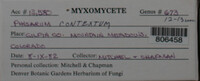 Image Associated With the Occurence